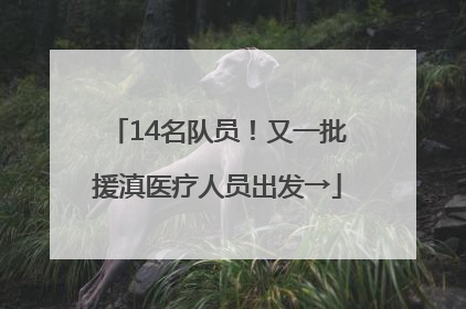14名队员！又一批援滇医疗人员出发→